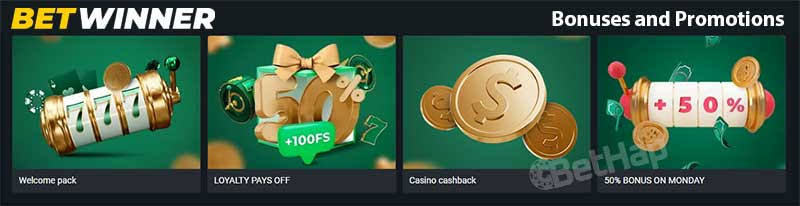 Explore BetWinner Sportsbook Your Guide to Betting Excellence